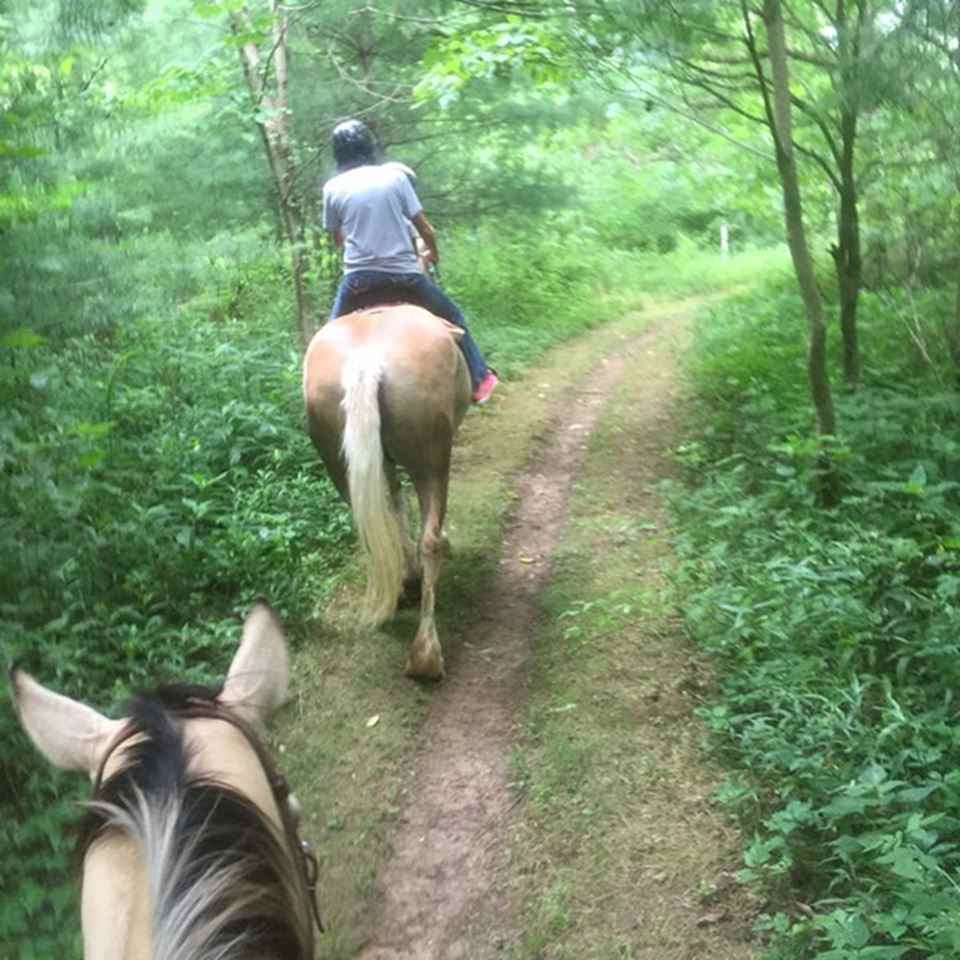 Equestrian Trail at Dillon State Park