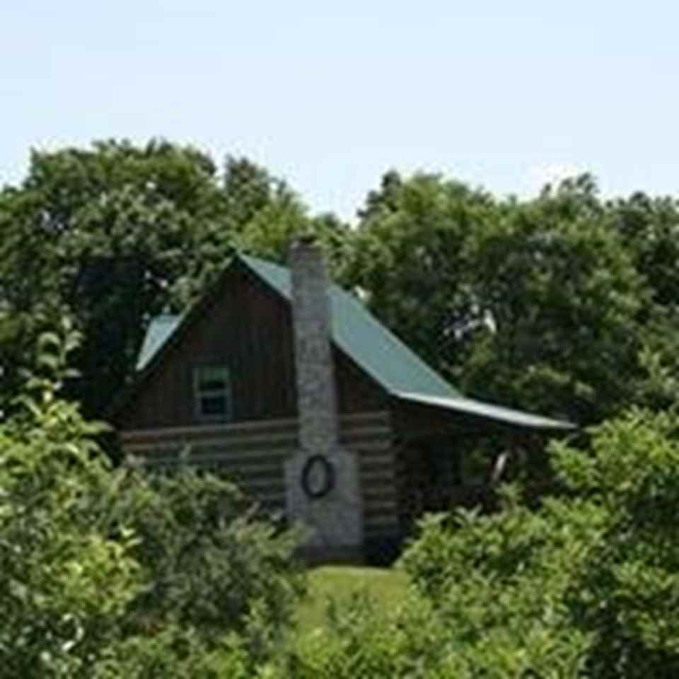 Cabin In The Orchard