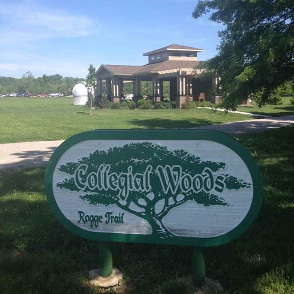 Collegial Woods